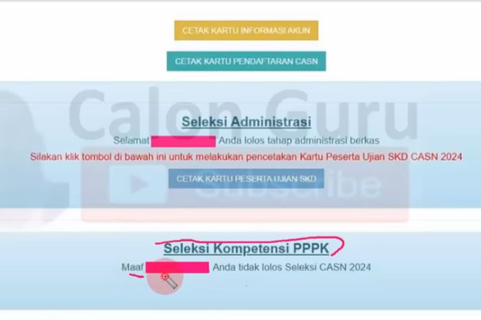 Contoh tampilan hasil seleksi PPPK