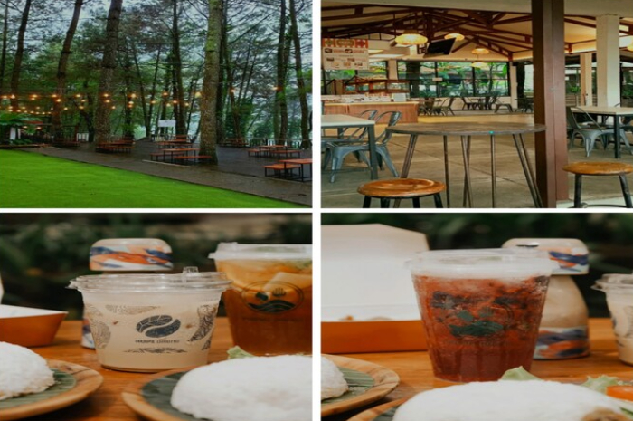 Kedai Kopi Daong cocok bagi kamu yang ingin menikmati chill vibes di tengah hutan pinus.