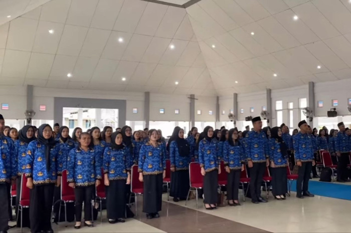 Ribuan peserta dinyatakan lulus seleksi PPPK 2024 Tahap 2, simak tahapan selanjutnya bagi peserta yang dinyatakan lolos