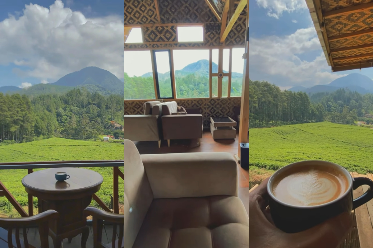View menawan di AJ coffee Pangalengan.