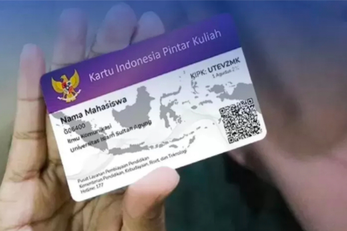 Ilustrasi kartu PIP