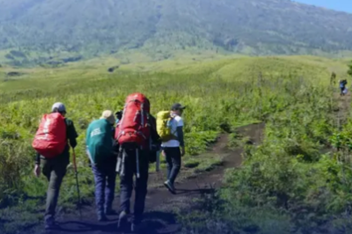 Jalur pendakian yang masih dibuka di Pelawangan Empat Sembalun di Lereng Gunung Rinjani sejak 24 Juni 2025.
