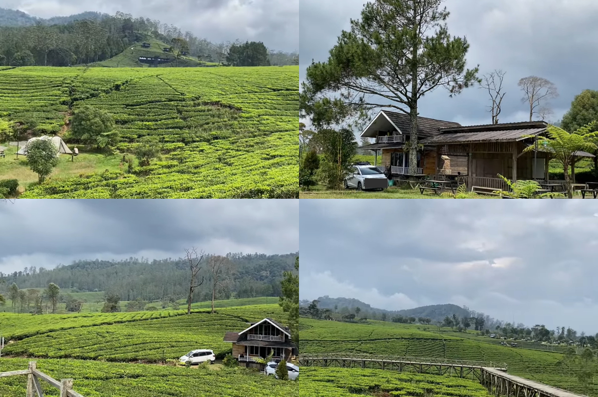 Camping syahdu di Nuansa Riung Gunung Pangalengan.