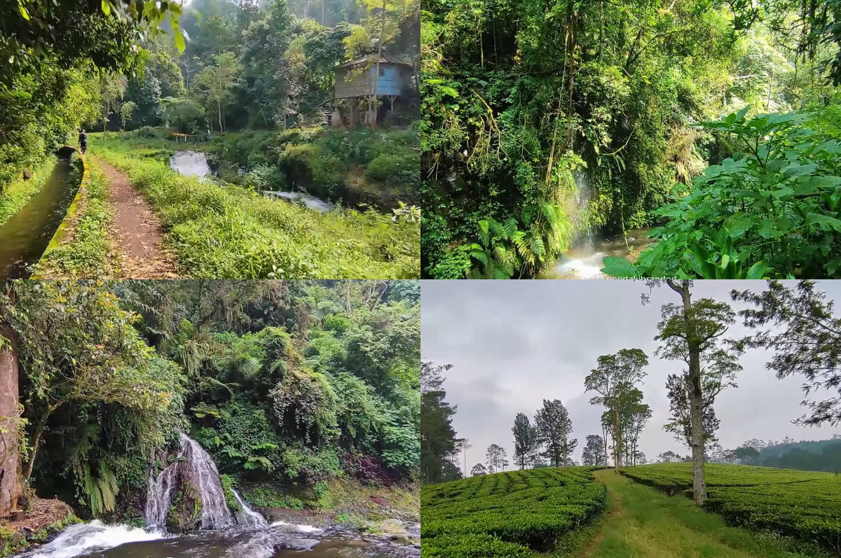 Jalur trekking di Ciwangun Indah Camp.
