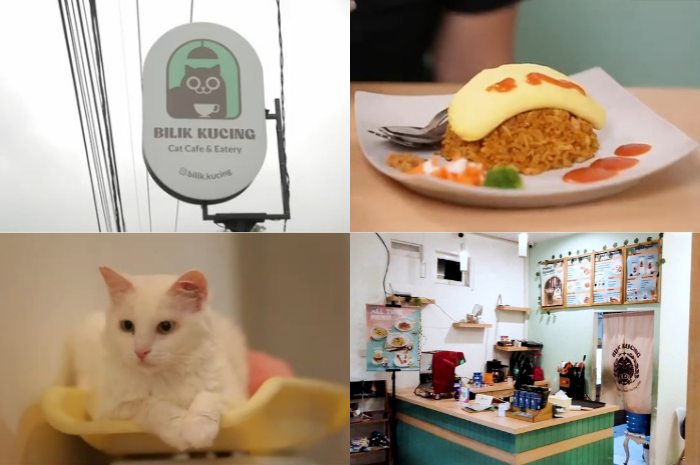 Bilik Kucing, tempat asik ngopi ditemani kucing di Depok
