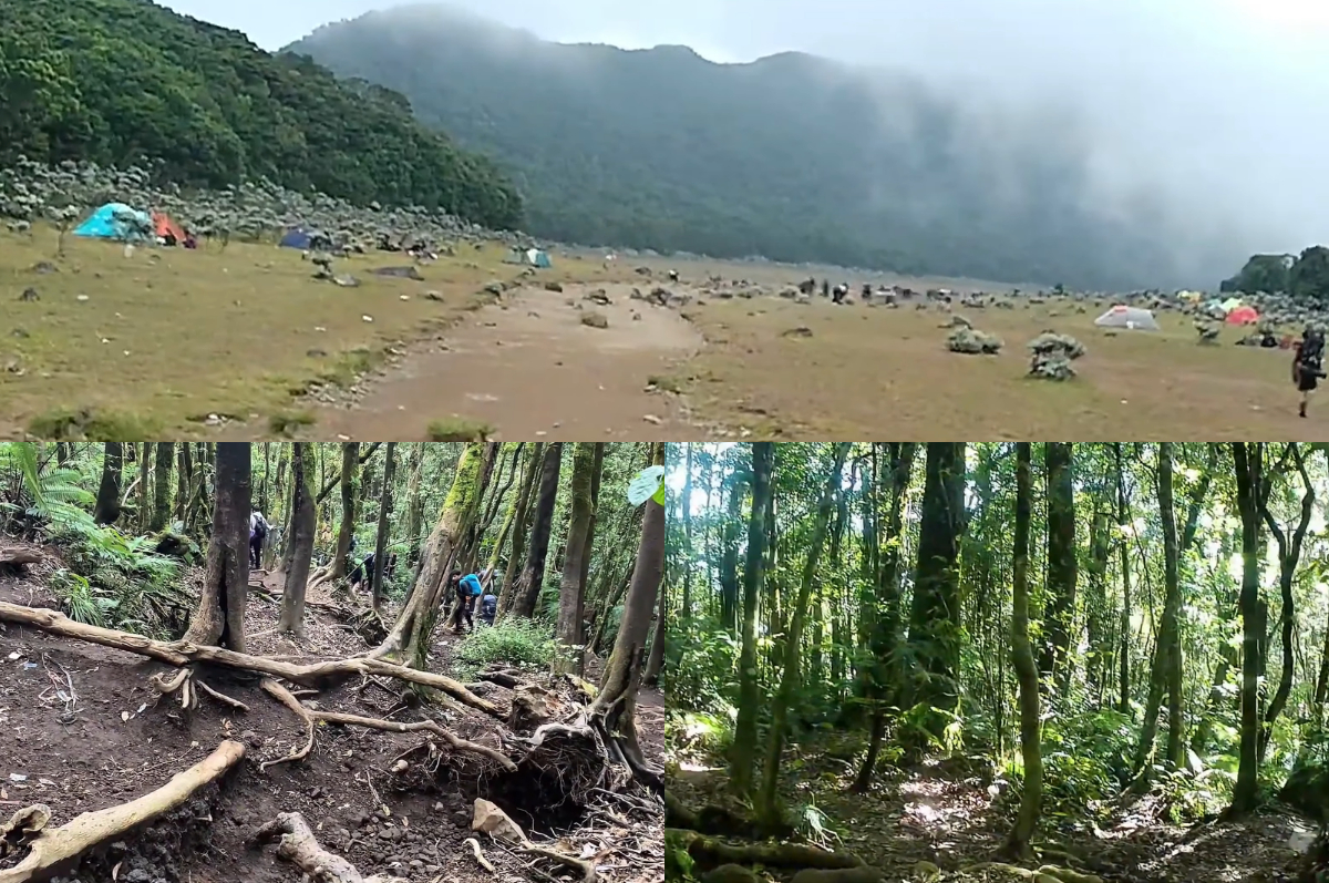 Hiking seru ke Gunung Gede via Jalur Putri.