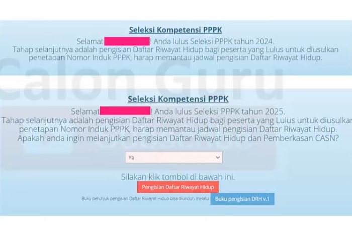 Tampilan akun SSCASN jika peserta dinyatakan lulus seleksi PPPK tahap 2