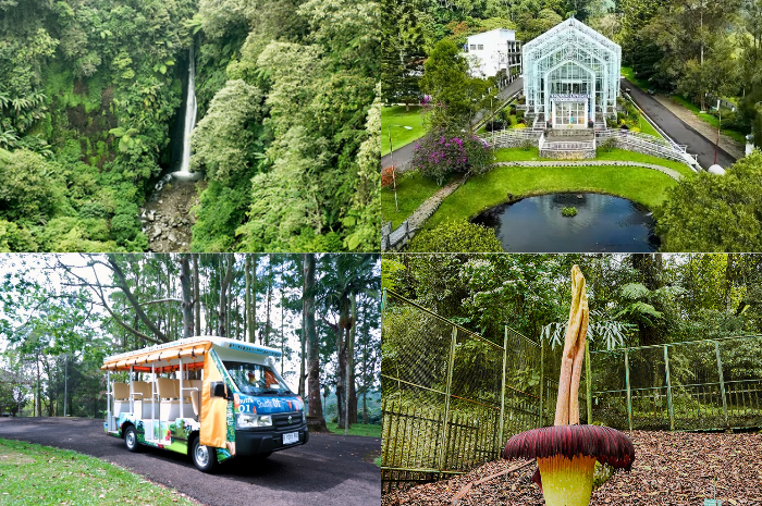 Wisata Edukatif nan Menyegarkan Mata, Semuanya Ada di Kebun Raya Cibodas