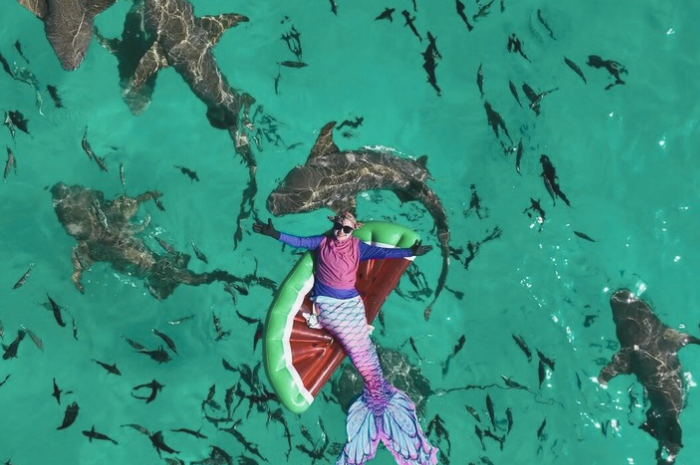Ria Ricis terlihat sangat menikmati liburannya berenang dengan hiu-hiu di Maldives.
