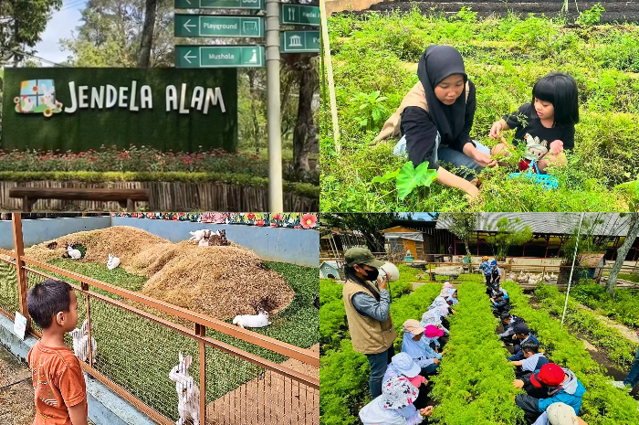 Pengalaman seru hadir di setiap sudut Jendela Alam Bandung