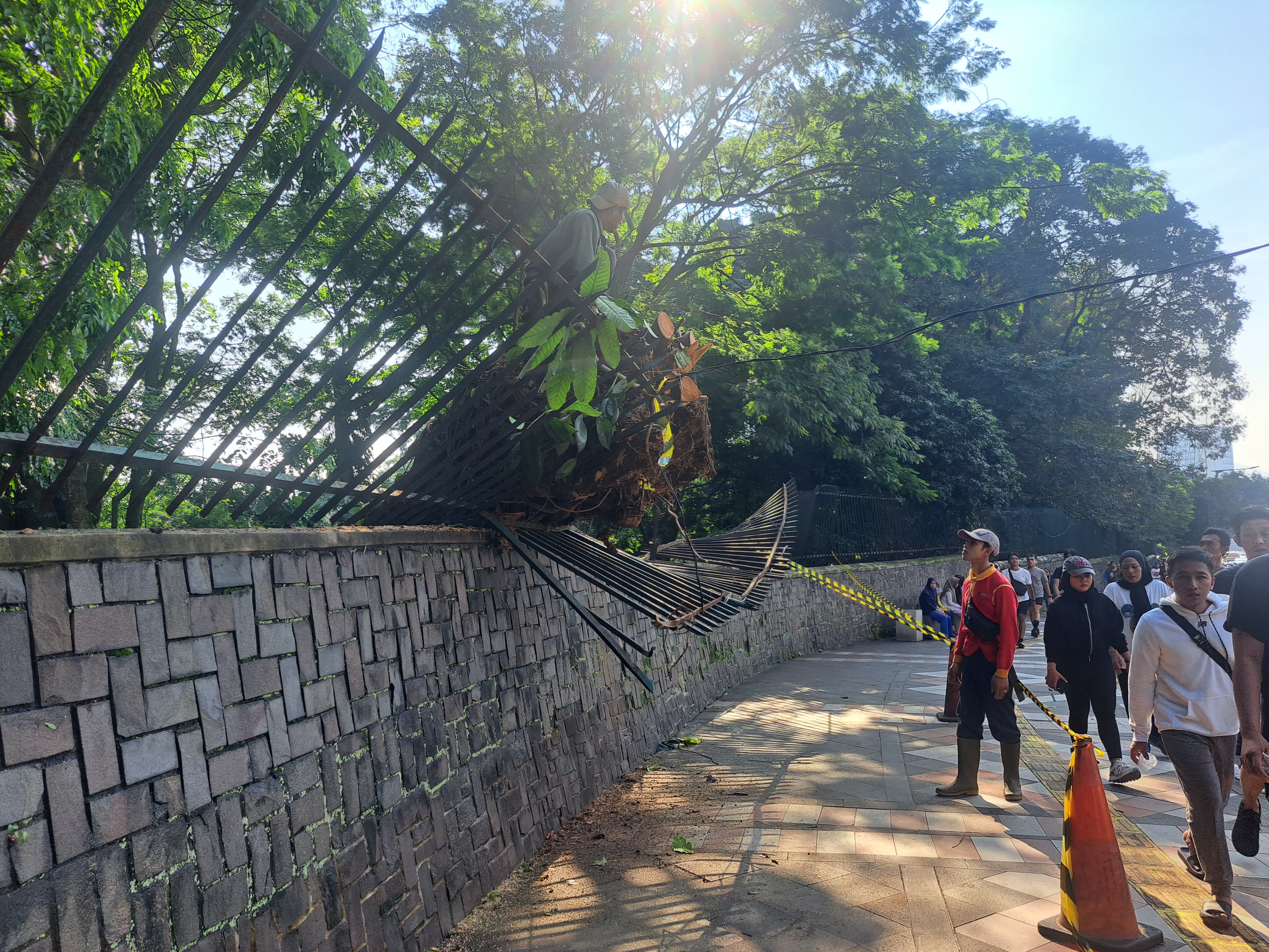 Pagar pembatas Kebun Raya Bogor (KRB) di sekitaran SSA rusak akibat tertimpa pohon tumbang pada Sabtu 5 Juli 2025.