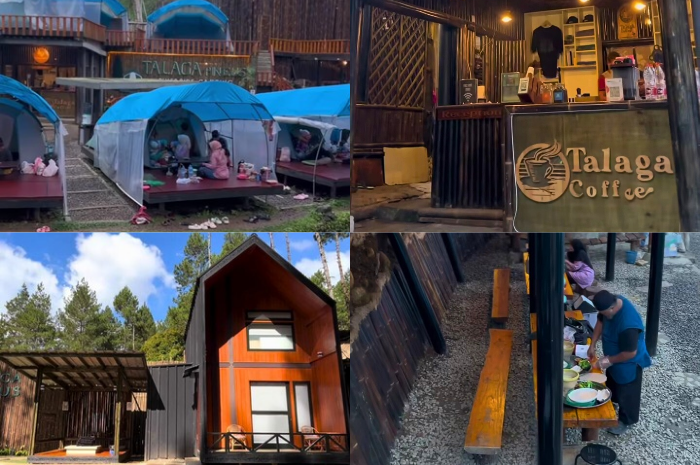 Talaga Pineus Camp cocok banget buat menginap sembari memasak ayam BBQ