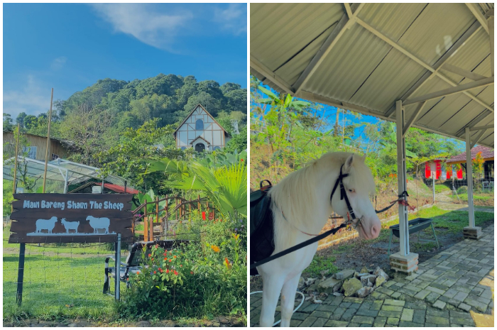 Main bareng domba Shaun The Sheep di Wisata Bukit Domba Sentul.