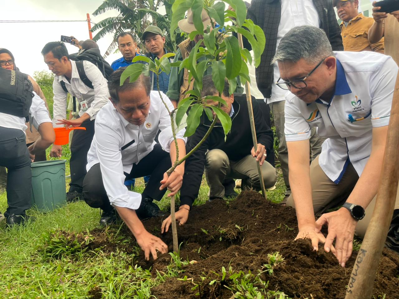 KLH bersama Taman Safari Bogor menggelar program penanaman pohon serentak nasional, Senin 14 Juli 2025.