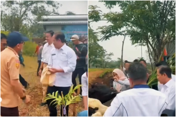Menteri Lingkungan Hidup Hanif Faisol Nurofiq dan Pemerintah Kabupaten Bogor melakukan penanaman pohon untuk penghijauan kawasan Puncak.