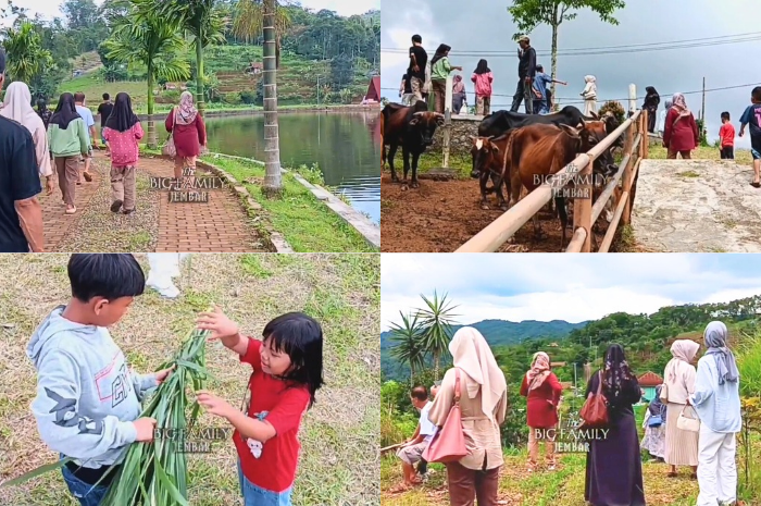 Pemandangan alam ala Mini Ranch Sapi Sukamantri menyuguhkan oase segar khas Negeri Swiss