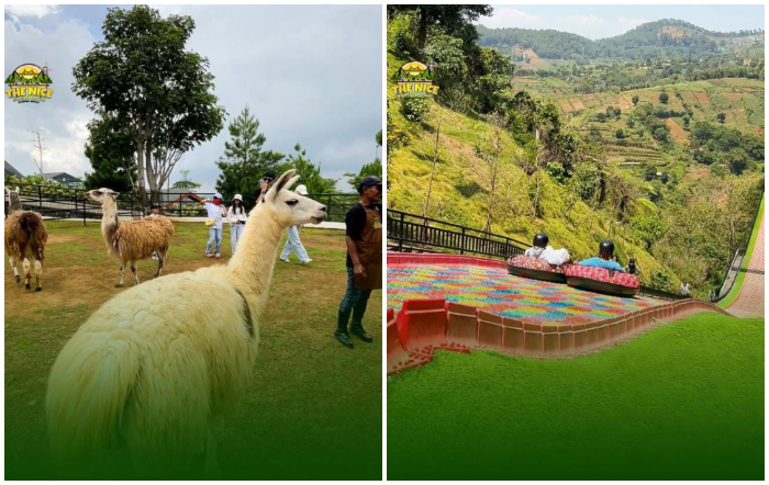 Wisata moni zoo The Nice Funtastic Park dekat Puncak Bogor