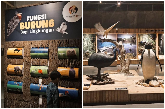 Belajar hewan dengan cara yang menyenangkan hanya di Animalium Cibinong.