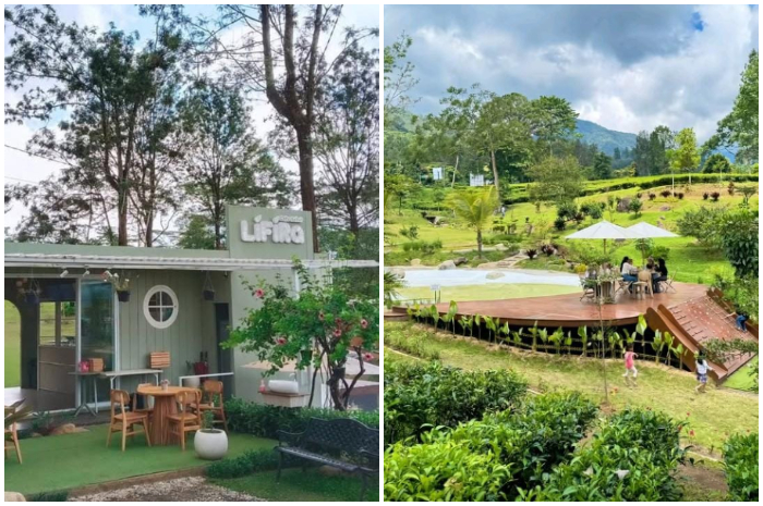 Ngafe di Puncak Bogor rasa Lembang Bandung di Lifira Cafe.