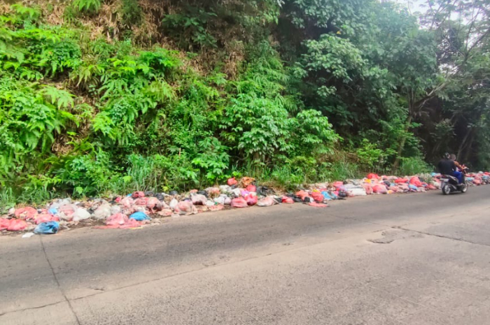 Ilustrasi sampah liar di wilayah Kabupaten Bogor.