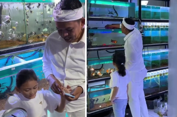Momen Ni Hyang membeli ikan hias bersama Gubernur Jawa Barat Dedi Mulyadi.