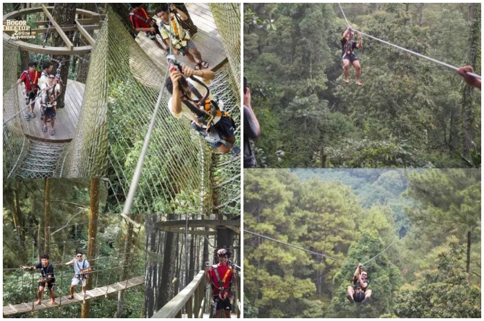 Pacu adrenalinmu di atas ketinggian di Bogor Treetop Zipline Adventure.