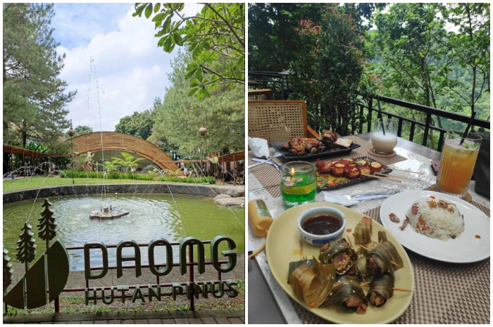 Tempat nongkrong hiddem gem di Bogor, Kopi Daong Hutan Pinus.&nbsp;