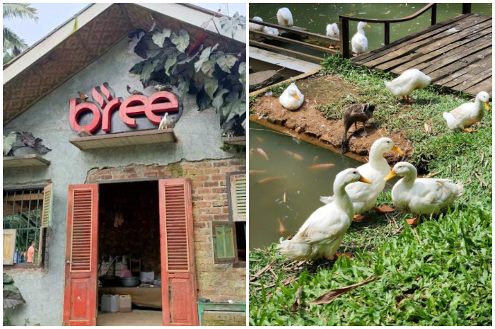 Suasana Bree Coffee and Kitchen di kawasan Cijeruk, Kabupaten Bogor&nbsp;