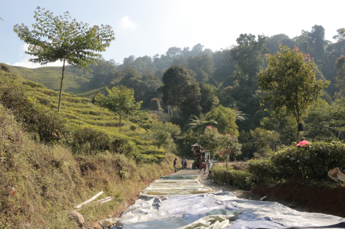 Pemkab Bogor melakukan betonisasi di Jalan Nirmala, Desa Malasari, Kabupaten Bogor.
