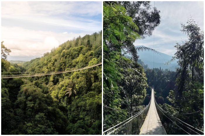 Liburan seru di Lembah Purba dan nikmati jembatan gantung terpanjang di Asia Tenggara.