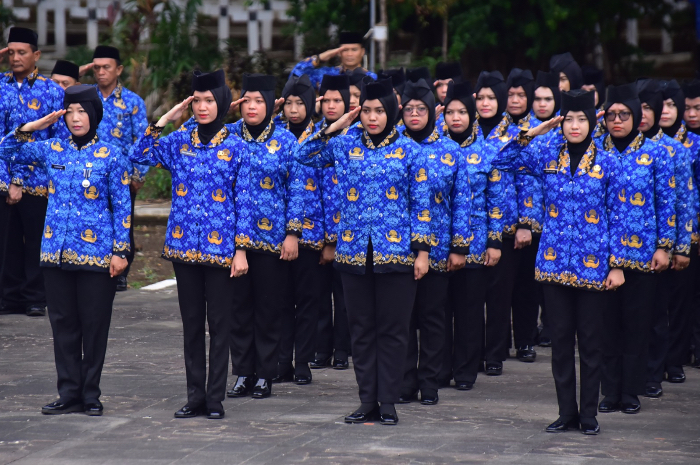 Pengusulan PPPK Paruh Waktu hanya untuk honorer terdaftar BKN