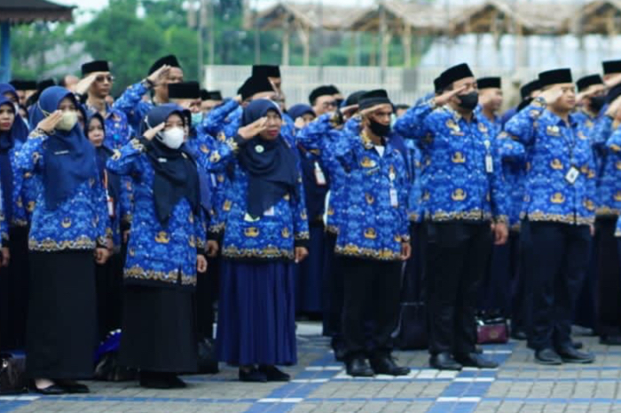 PPPK Akan Dapat Jaminan Pensiun, JHT, dan Promosi Jabatan