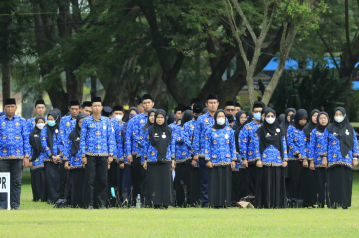 Formasi untuk lulusan D3 dan S1 pendidikan di berbagai instansi pada seleksi CPNS