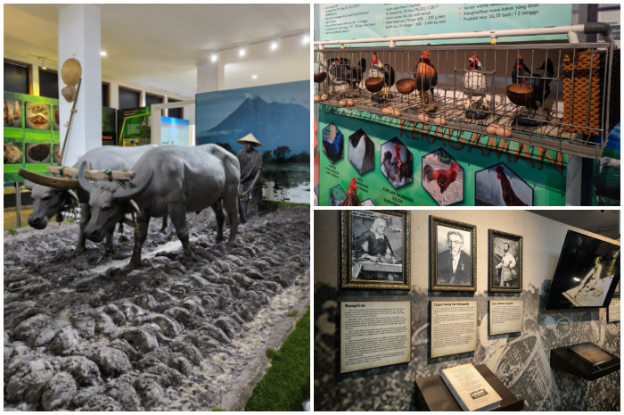 Museum Tanah dan Pertanian di Jl. Ir. H. Juanda No.98, Bogor Tengah, Kota Bogor.