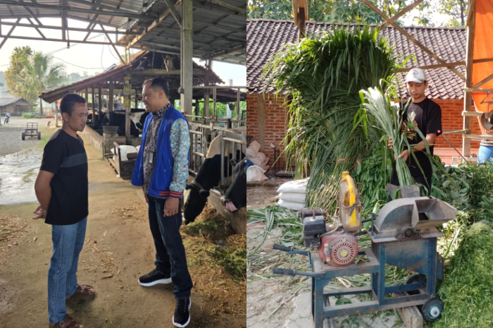 Pengusaha pakan ternak asal Slahung, Kabupaten Ponorogo, Jawa Timur membuktikan bahwa KUR BRI menjadi jalan menuju kesuksesan.