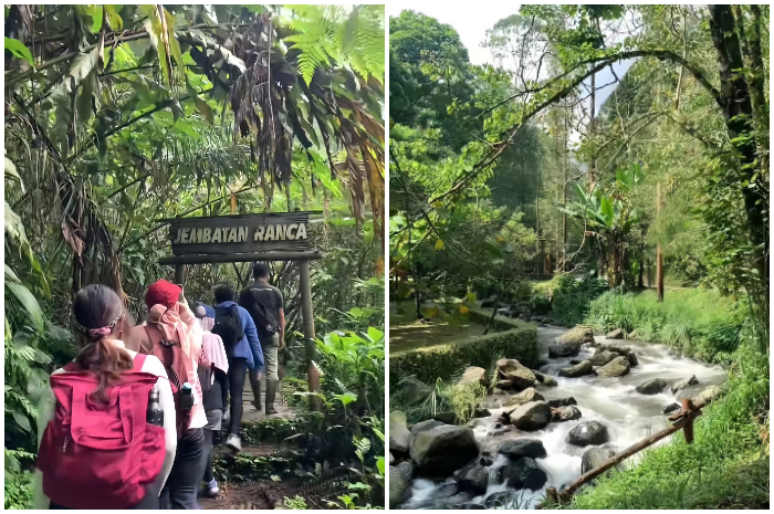 Isi waktu luangmu dengan safari trekking di Taman Safari Bogor.