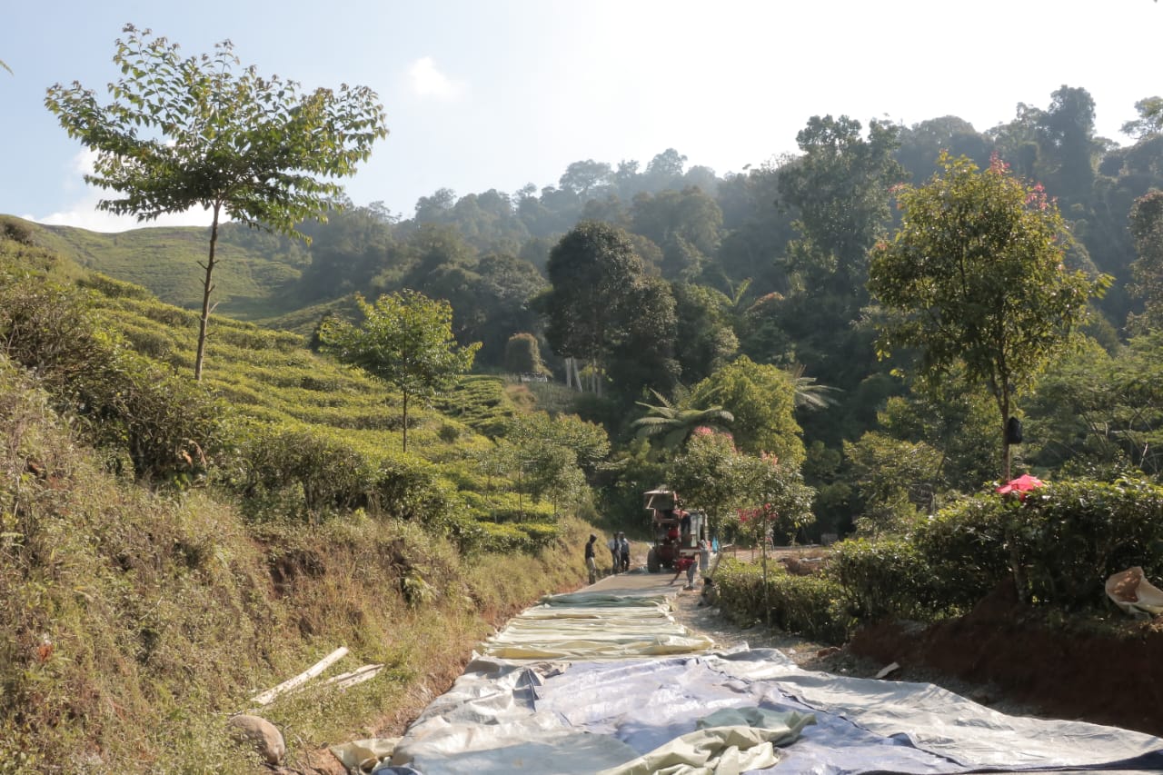 Pengaspalan jalan di Desa Wisata Malasari yang nantinya akan dilintasi lomba sepeda dan Kirab Bendera Merah Putih.