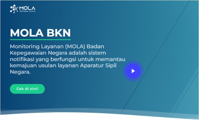Tampilan awal laman monitoring-siasn BKN untuk mengecek progres NI PPPK tahap 2