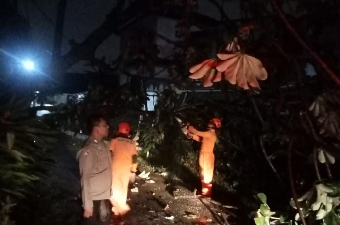 Petugas saat mengevakuasi pohon tumbang di Kampung Cipayung, Cibinong, Kabupaten Bogor, Sabtu, 9 Agustus 2025 malam.