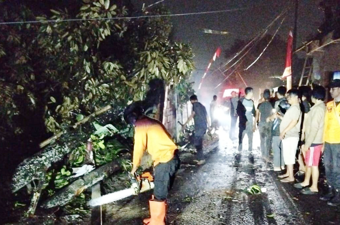 Proses evakuasi pohon tumbang yang menutupi jalan di Ciherang Pondok, Kecamatan Caringin, Kabupaten Bogor, Minggu 10 Agustus 2025.