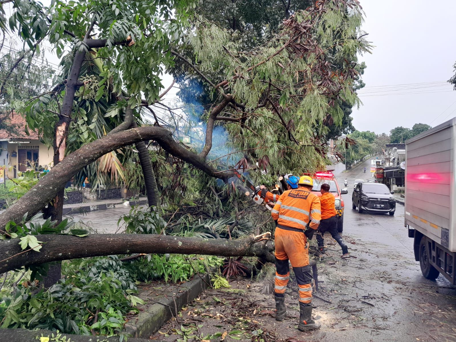 Petugas BPBD nengevakuasi pohon tumbang di Kampung Kawung Luwuk, Kelurahan Tegal Gundil, Kota Bogor, Senin 11 Agustus 2025.