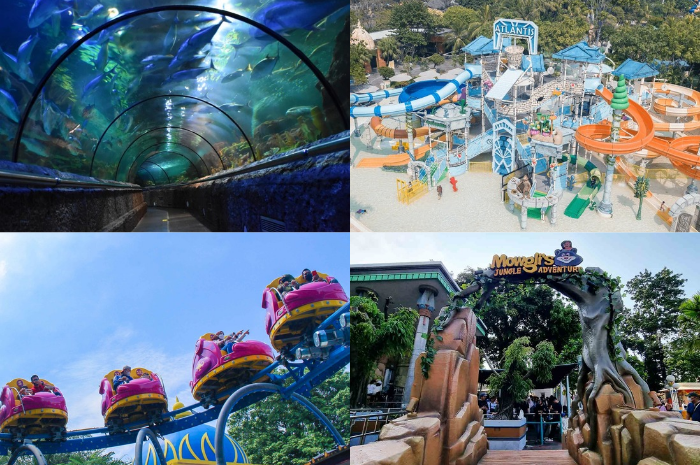 Sea World Ancol menghadirkan pengalaman menyelam tanpa basah, lengkap dengan ribuan biota laut, pertunjukan edukatif, dan sensasi bawah laut yang menyegarkan mata.