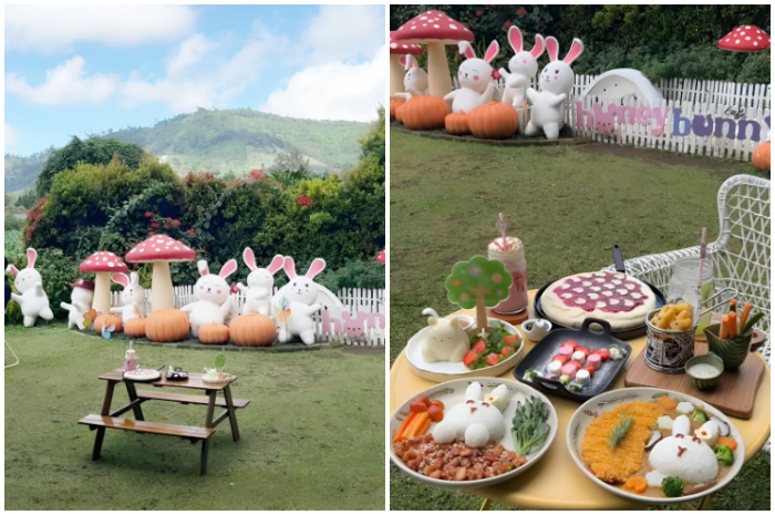Nongkrong gemas sambil main bareng kelinci di Honey Bunny Cafe.