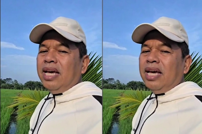 Gubernur Jawa Barat Dedi Mulyadi tanggapi cara Lucky Hakim mengatasi masalah petani di Indramayu.&nbsp;