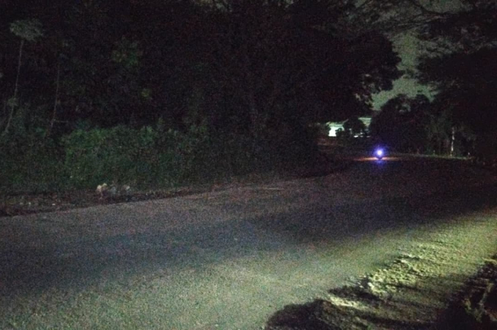 Kondisi Jalan Raya Narogong, Kecamatan Klapanunggal, Kabupaten Bogor saat malam hari, Kamis 14 Agustus 2025.
