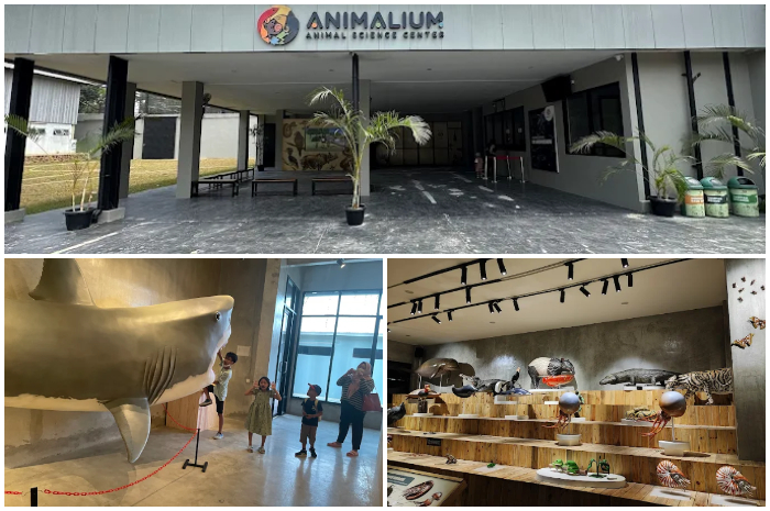 Animalium, tempat wisata edukatif baru di Kota Bogor.