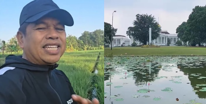 Gubernur Jawa Barat Dedi Mulyadi sebut penyelesaian dugaan pungli di Kebun Raya Bogor