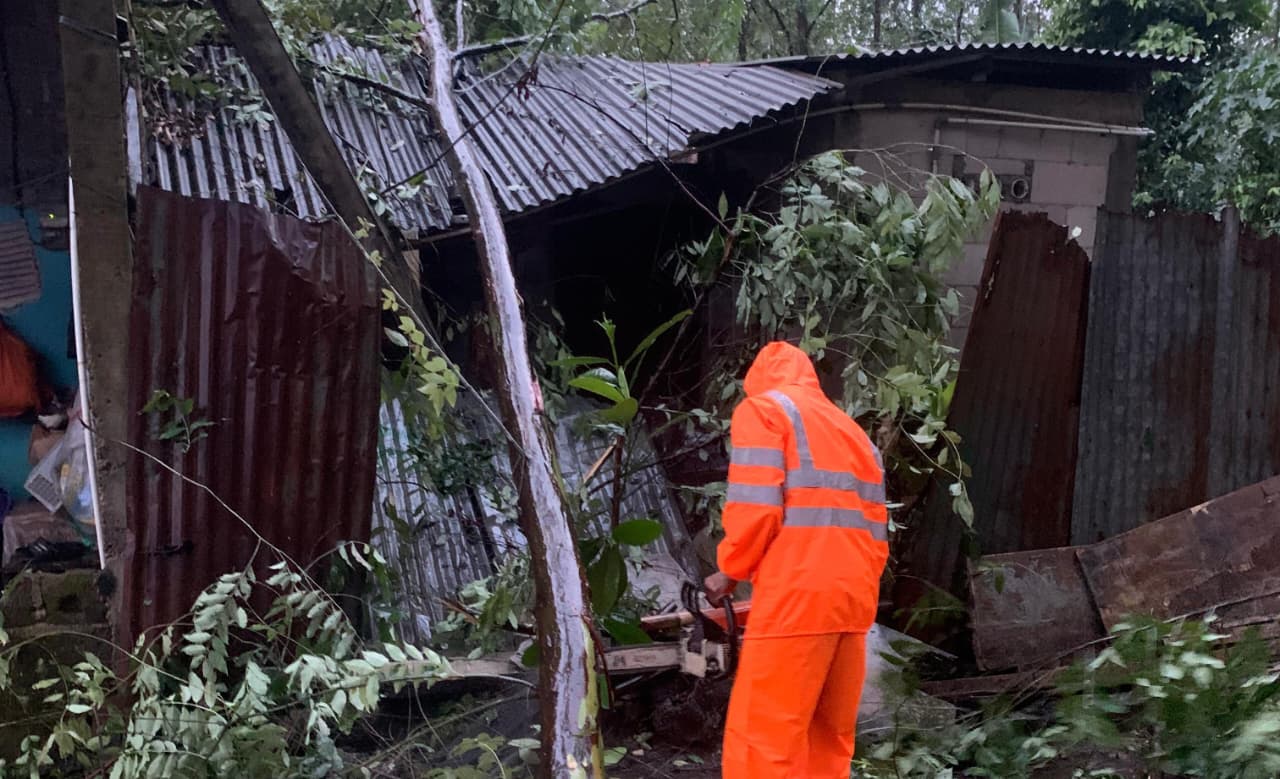 BPBD Kabupaten Bogor lakukan evakuasi pohon tumbang yang menimpa rumah warga di Kelurahan Pakansari, Kabupaten Bogor, Senin 25 Agustus 2025.
