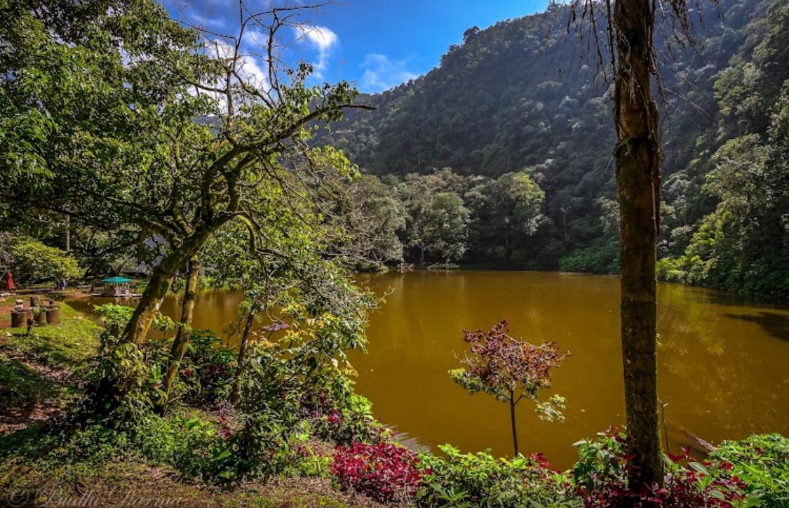 Suasana danau di kawasan Telaga Warna Puncak Bogor