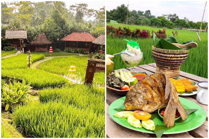 Ilustrasi tren wisata kuliner makan di tengah sawah